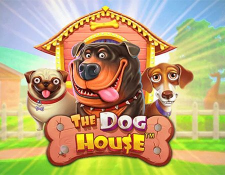 Стратегии игры Dog House