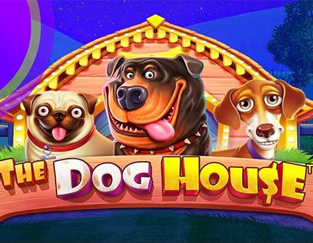 Отзывы об игре Dog House